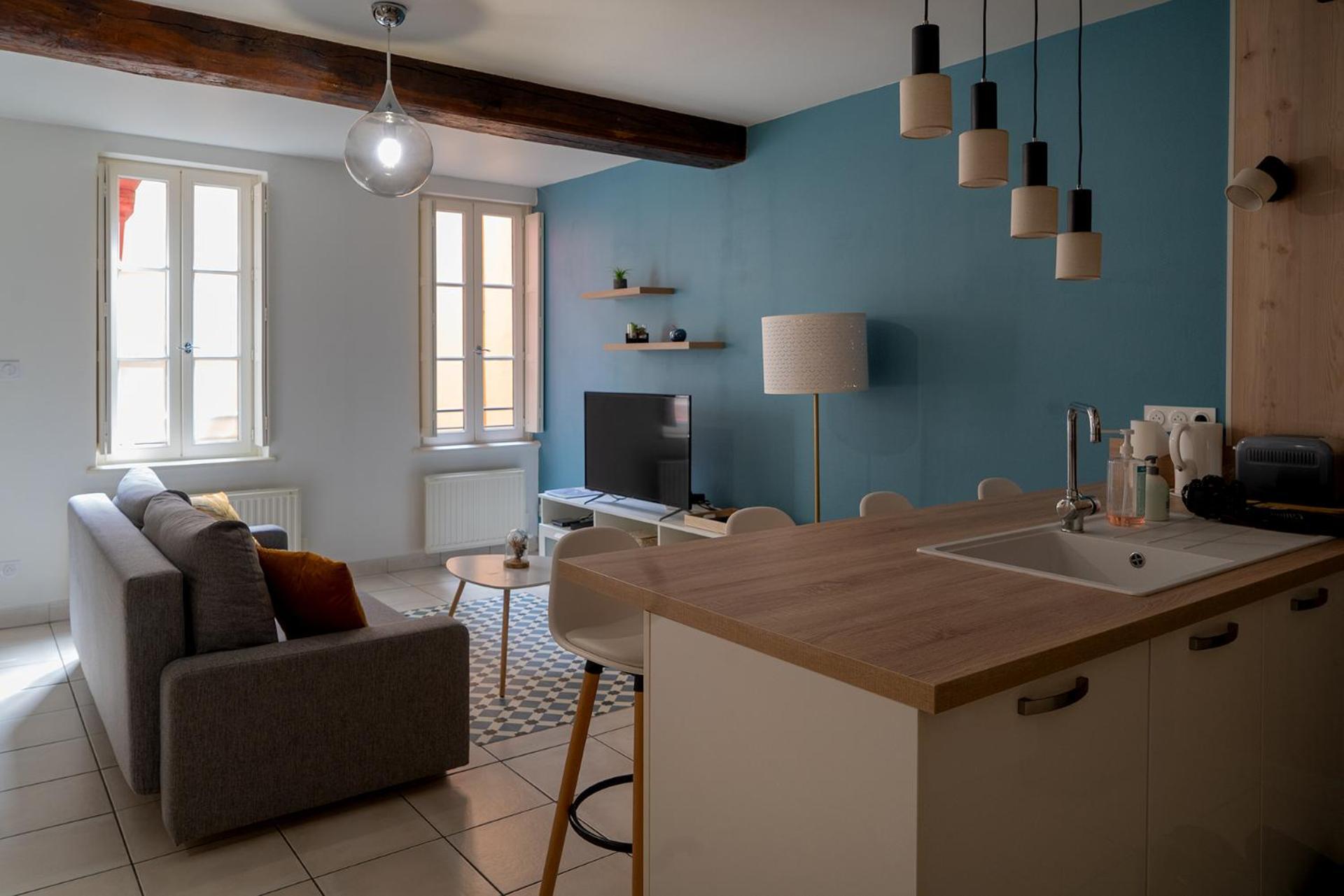 App Cosi Ile Saint Laurent Sur Saone Apartment